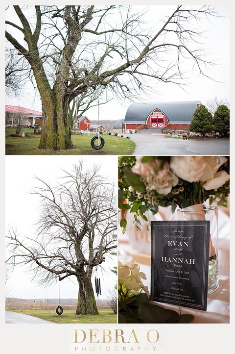 Beautiful farm wedding, Jean Acres Wedding, Ellsworth Wisconsin, Debra O Photography