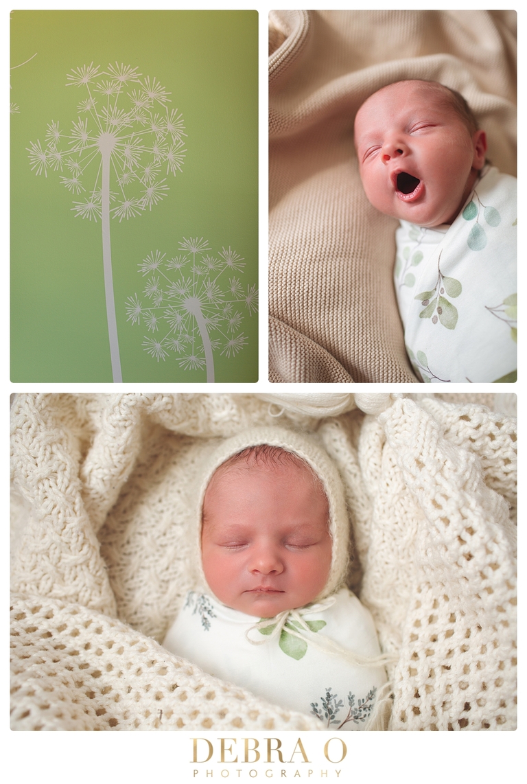 Organic baby photos, simple and elegant newborn session, Debra O Photography, Hudson WI newborn photographer, 
