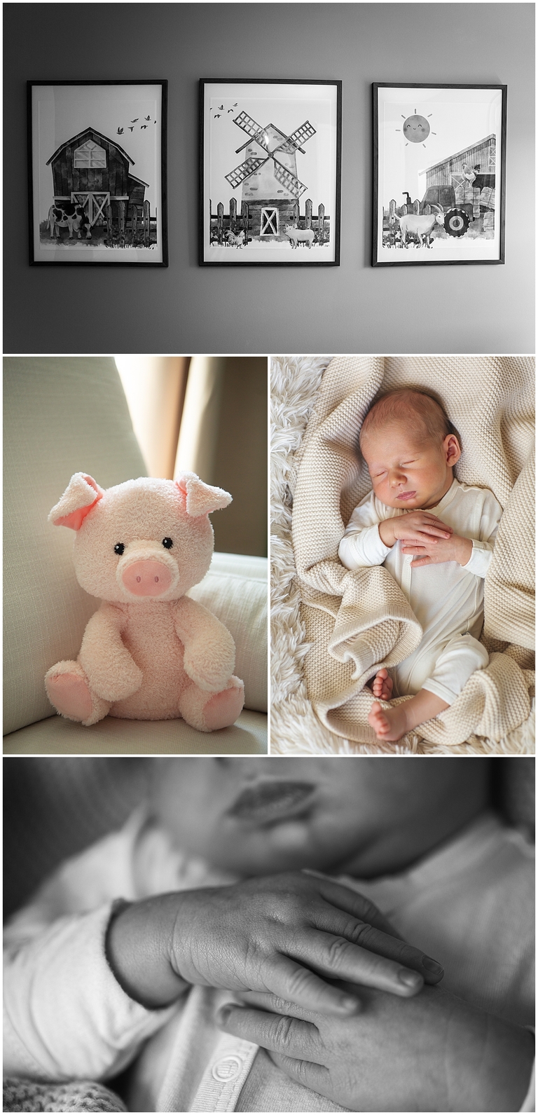 Newborn session at home, Lifestyle newborn session, Hudson WI Newborn Photographer