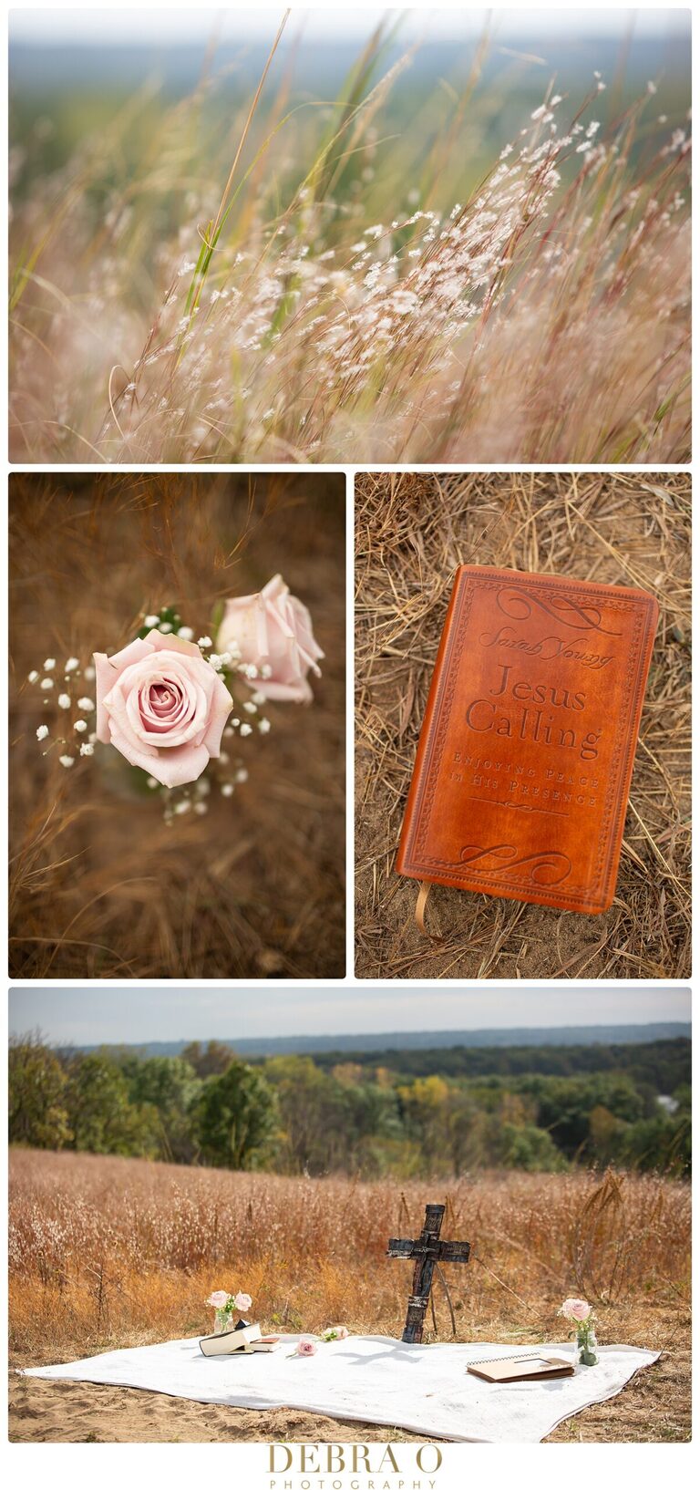 Proposal, engagement session, Cottage Grove MN, 