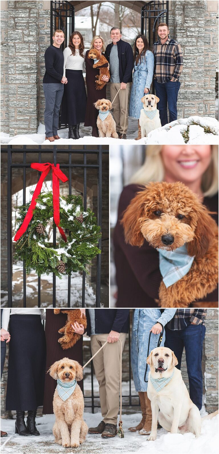 Holiday Family Portrait, Edina Minnesota Portrait Photographer 